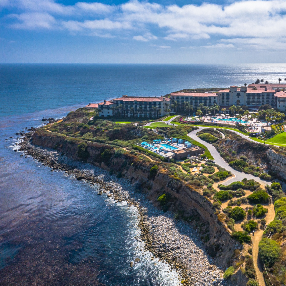 walc-amspa-site-hero