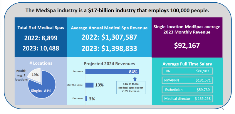 med-spa-2024-industry-summary