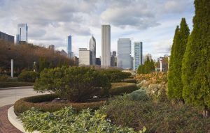 chicago