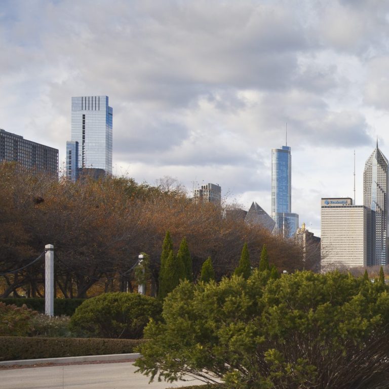 October 2026 Chicago Boot Camp presented by AmSpa